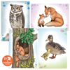 Carte de colorat și copiat Wildlife Top Model