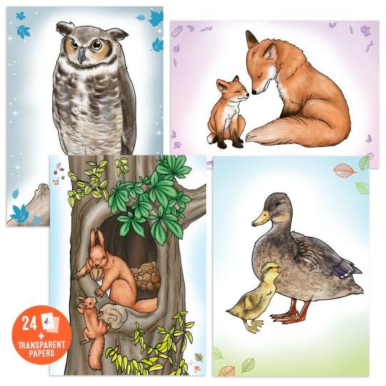 Carte de colorat și copiat Wildlife Top Model