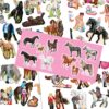 Carte mini cu stickere Fun Miss Melody