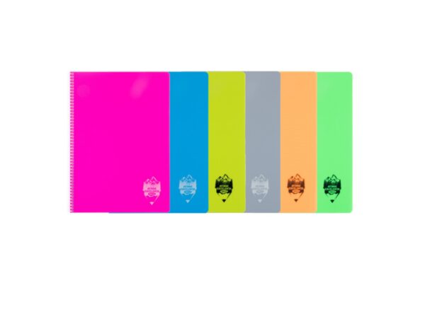 6425871035267-CT596AR Caiet A5 96 file cu copertă din plastic DACO Atinge Excelența CT596