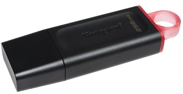 MEMORIE USB 3.2 KINGSTON 256 GB, cu capac, carcasa plastic, negru, "DTX/256GB" MEMORIE USB 3.2 KINGSTON 256 GB, cu capac, carcasa plastic, negru, "DTX/256GB"