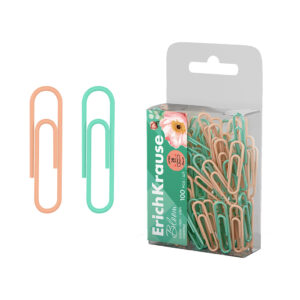 Agrafe 28 mm Pastel Bloom Vinyl ErichKrause 62048