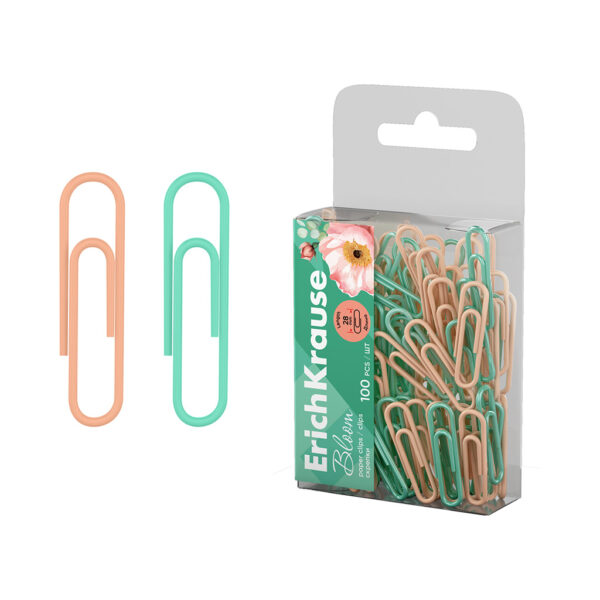 Agrafe 28 mm Pastel Bloom Vinyl ErichKrause 62048