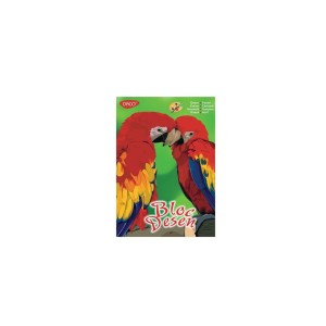 Bloc desen A4 16 file 170 g DACO BD417