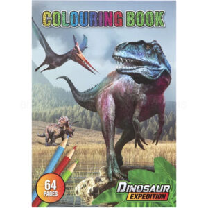 Carte de colorat A4 Dino Grafix 130012