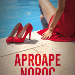 Copertă carte Aproape noroc Copertă carte Aproape noroc de Adele Parks