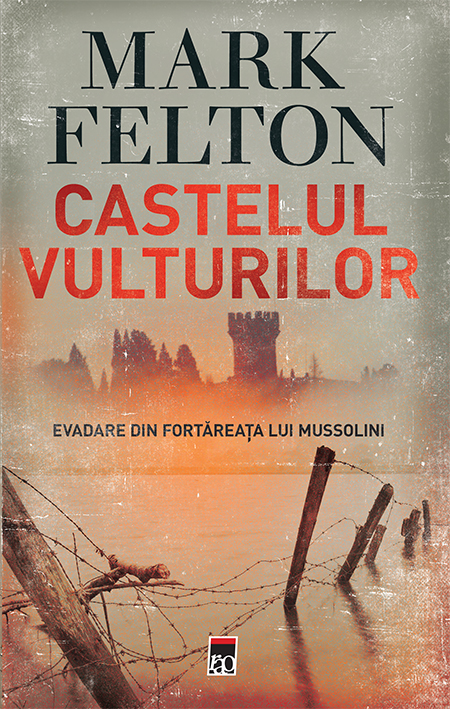 Coperta cărții Castelul vulturilor