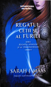 Copertă carte Regatul ceții și al furiei vol. 2