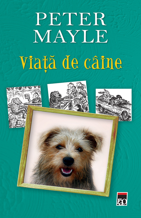Coperta cărții Viața de câine