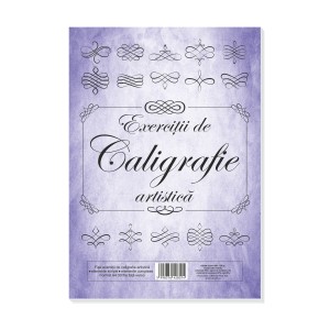 Fișe caligrafie artistică 30 file L28014