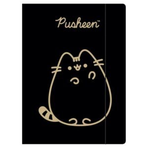 Mapă din carton St.Majewski Pushen 675171 cu elastic A4