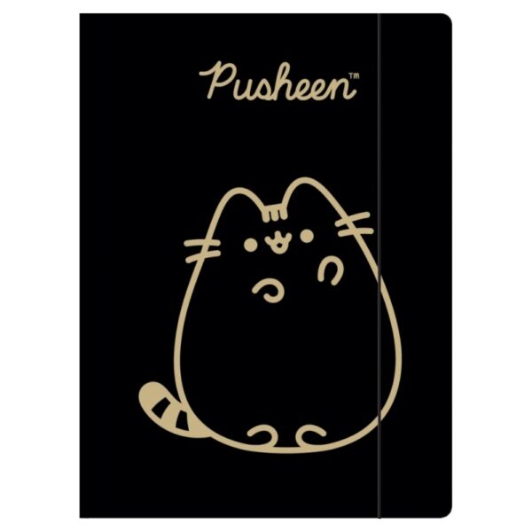 Mapă din carton St.Majewski Pushen 675171 cu elastic A4 Mapă din carton St.Majewski Pushen 675171 cu elastic A4