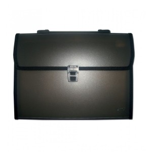 Mapă plastic cu 12 compartimente DACO MP312N