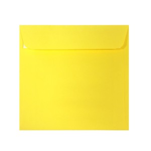 Plic pătrat color DACO PC1616G 16 x 16 cm