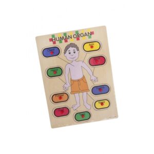Puzzle din lemn educativ Învață corpul uman, 9 piese, Colorarte 2KB Puzzle din lemn educativ Învață corpul uman, 9 piese, Colorarte 2KB