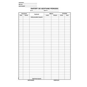 Raport gestiune zilnic L03486 GENERAL