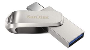 USB 256 GB SANDISK SDDDC4-256G-G46 "SDDDC4-256G-G46"
