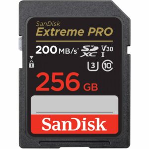 MEMORII. SD CARD Sandisk 256GB CL10 SDSDXXD-256G-GN4IN, "SDSDXXD-256G-GN4IN"