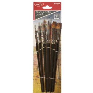 Set pensule păr de capră DACO PN496