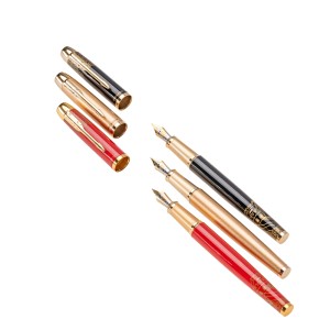 Set stilou+calimara+etui picasso 9666N