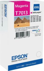 Cartus Cerneala Original Epson Magenta, T7013, pentru WP4000|4500, , , "C13T70134010"(RAPO)